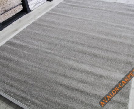 10013X r SILVER / SILVER