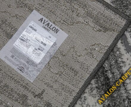 36342X stan SILVER / SILVER