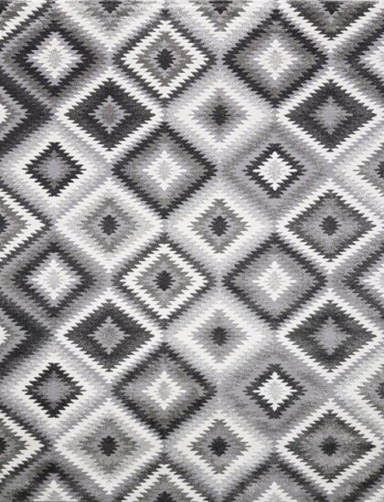 22716X stan SILVER / SILVER