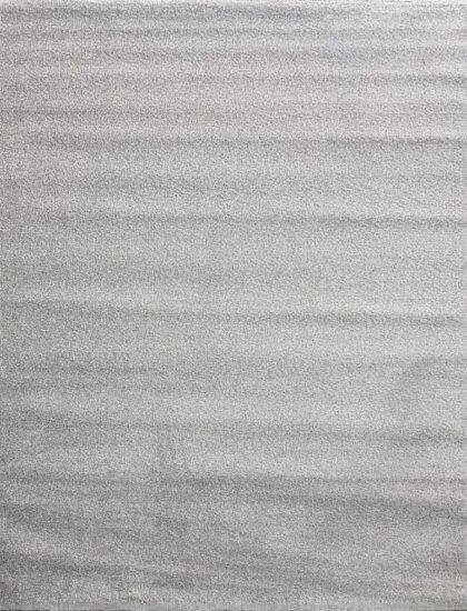 10001X r SILVER / WIHTE