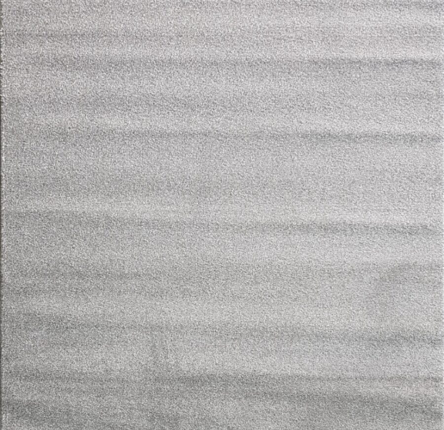 10001X r SILVER / WIHTE