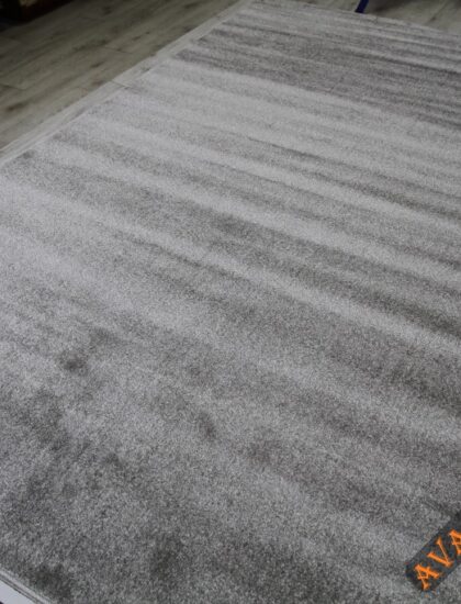 10013X r SILVER / SILVER