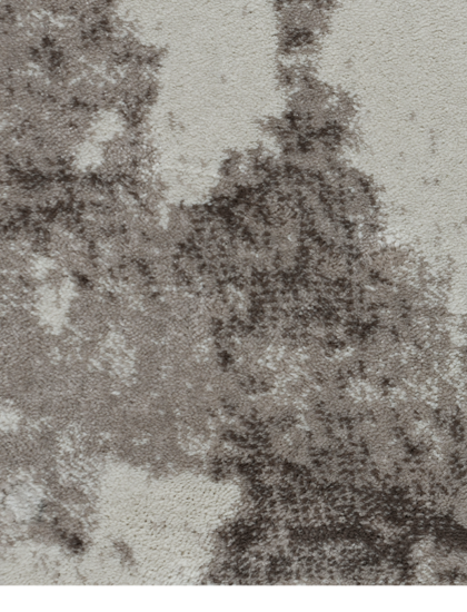 36506A stan D.VIZON / L.BEIGE