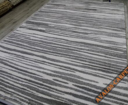 36494X r SILVER / SILVER