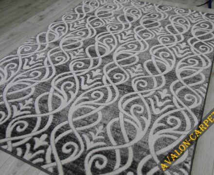 36118X r SILVER / SILVER