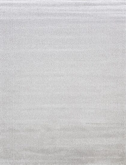 10001X r SILVER / WHITE