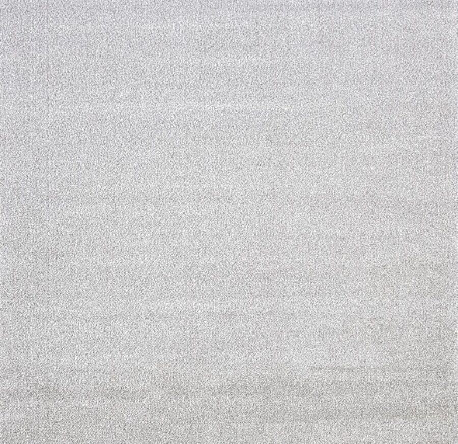 10001X r SILVER / WHITE