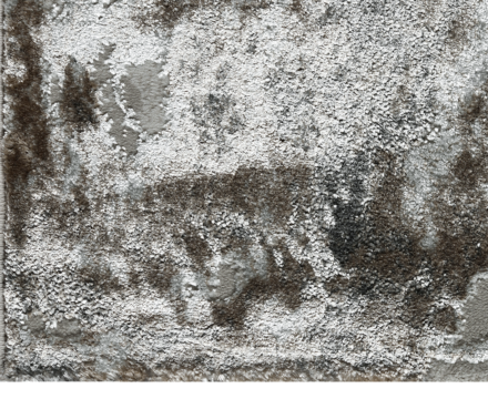 38508B stan CREAM FLS / BEIGE CO