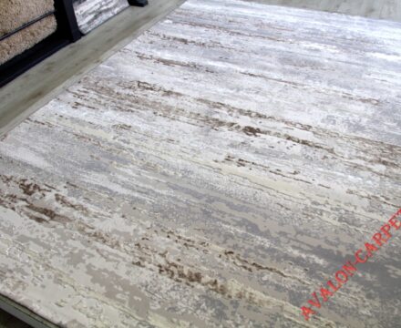 36556A r D.VIZON / D.VIZON