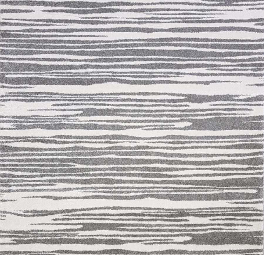 36494X r SILVER / SILVER