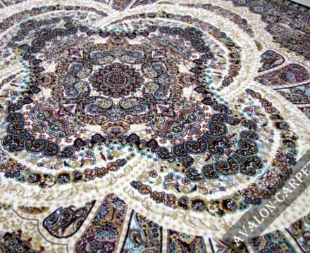 20250A stan CREAM / NAVY