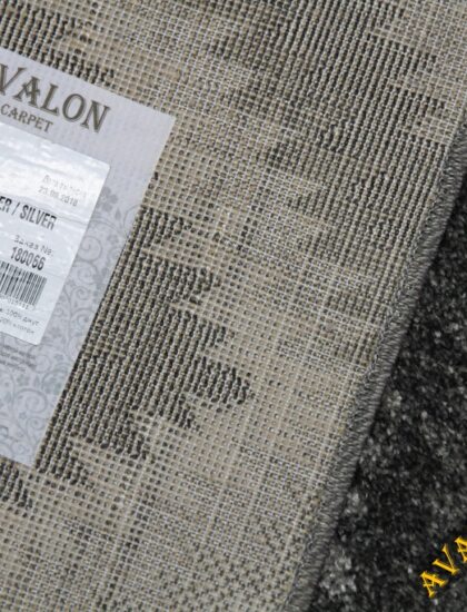 22716X stan SILVER / SILVER