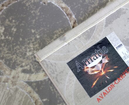 36444B stan D.VIZON / D.VIZON