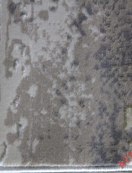 36556A r D.VIZON / D.VIZON