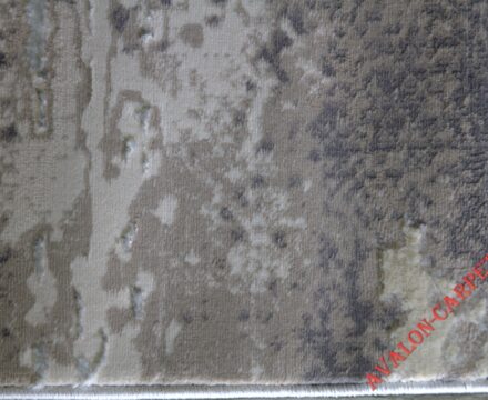 36556A r D.VIZON / D.VIZON