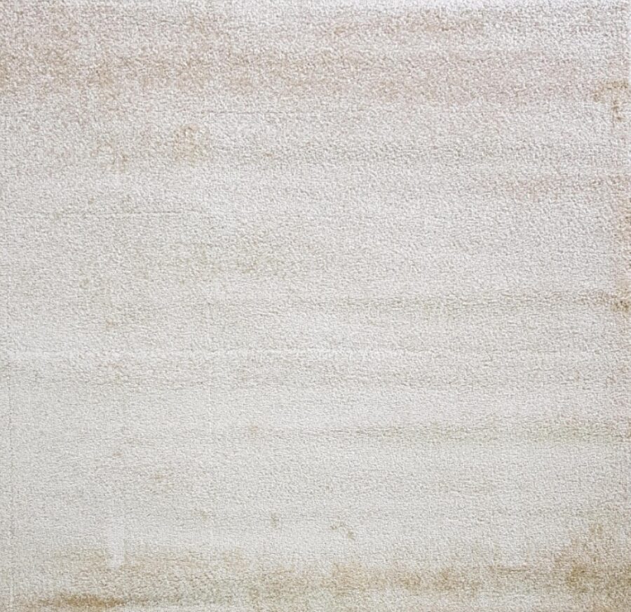 10013H r YELLOW / YELLOW