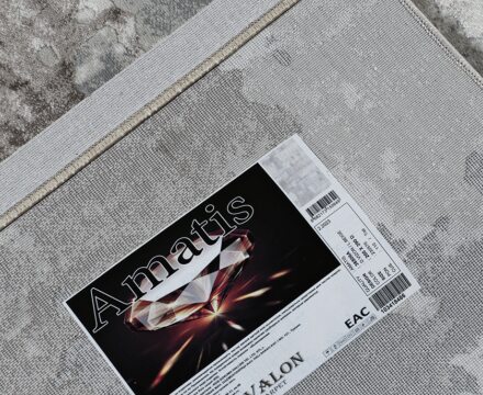 36506A stan D.VIZON / D.VIZON