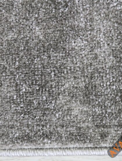 10013X r SILVER / SILVER