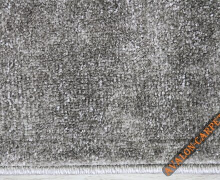 10013X r SILVER / SILVER