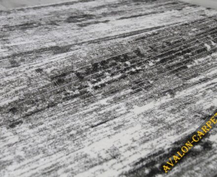 36343X r SILVER / SILVER