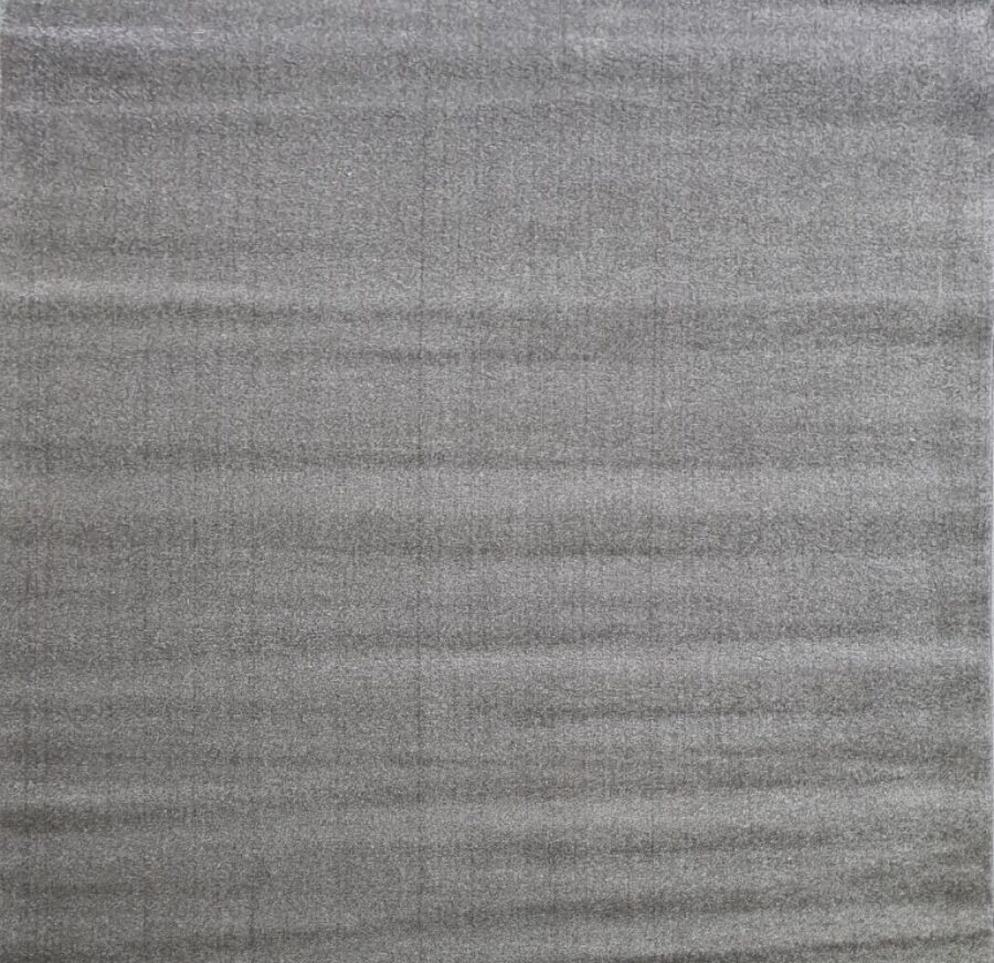 10013X r SILVER / SILVER