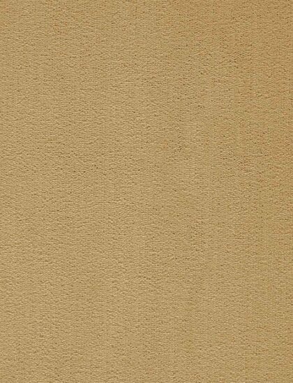 Ковролин President 095 (Balta/ITC)