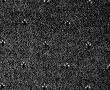 Ковролин Palace 16 (Balta/ITC)