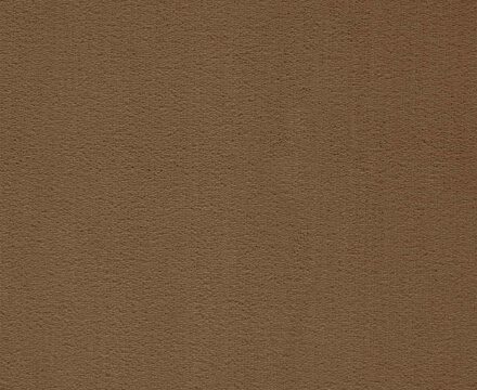 Ковролин President 078 (Balta/ITC)