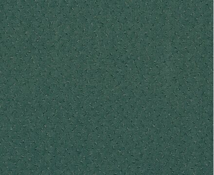 Ковролин Fortesse 38 (Balta/ITC)