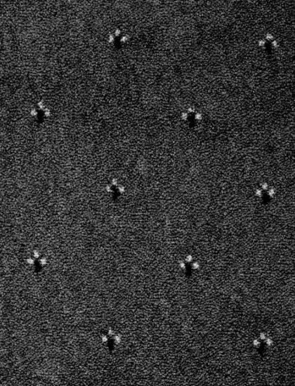 Ковролин Palace 99 (Balta/ITC)