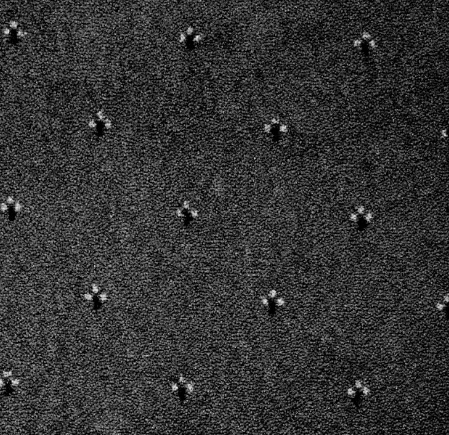 Ковролин Palace 99 (Balta/ITC)