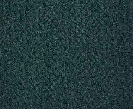 Ковролин Splendor 875 (Beaulieu)