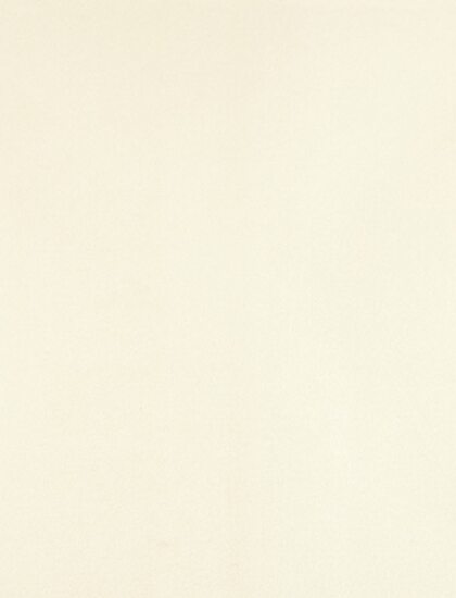 Ковролин Noblesse 305-PSH (Beaulieu)