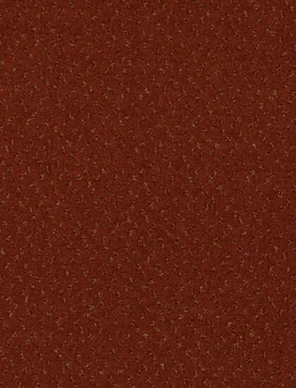 Ковролин Fortesse New 177 (Balta/ITC)