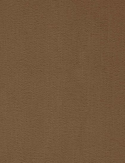 Ковролин President 046 (Balta/ITC)