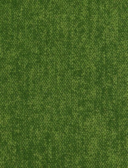 Ковролин Coral (unique) 30 (Haima)