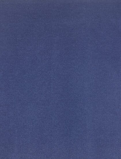 Ковролин Noblesse 880-PSH (Beaulieu)