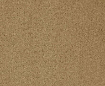 Ковролин President Интерьер (Balta/ITC)