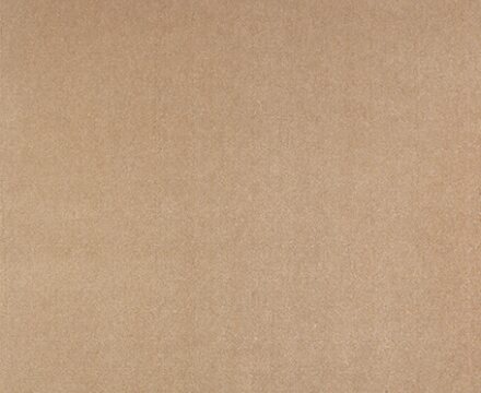 Ковролин Noblesse 880-PSH (Beaulieu)