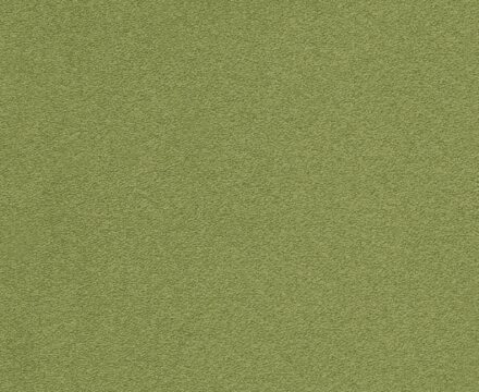 Ковролин Rossini New 098