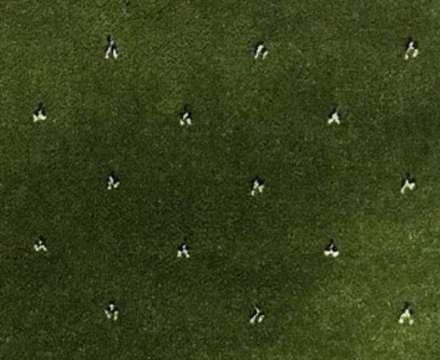 Ковролин София 0001 (Ковротекс)