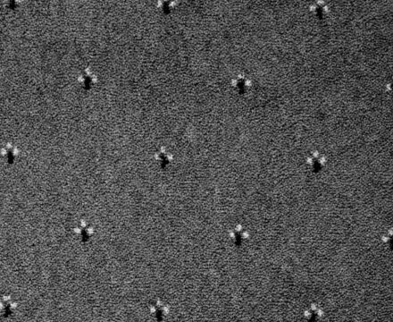 Ковролин Palace 77 (Balta/ITC)