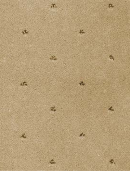 Ковролин София 1001 (Ковротекс)