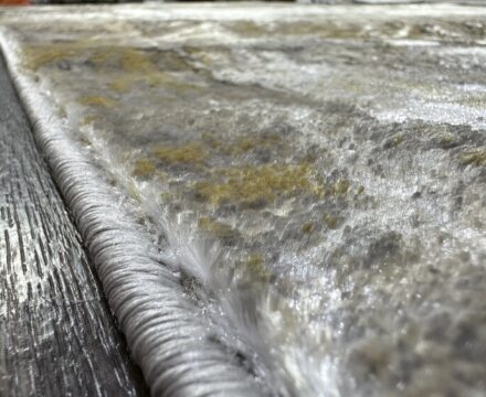 AA630A_IVORY / MUSTARD