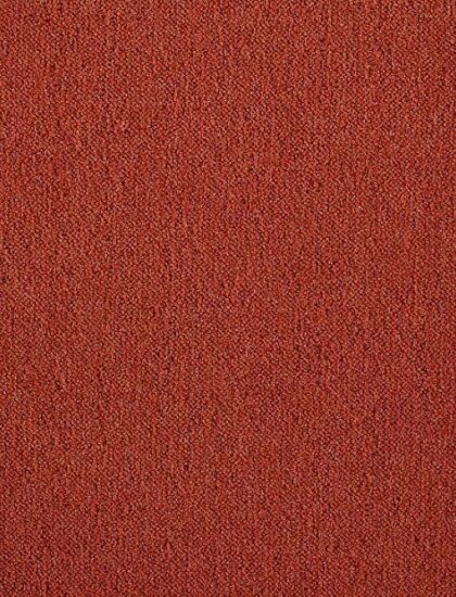 Ковролин Splendor 774 (Beaulieu)