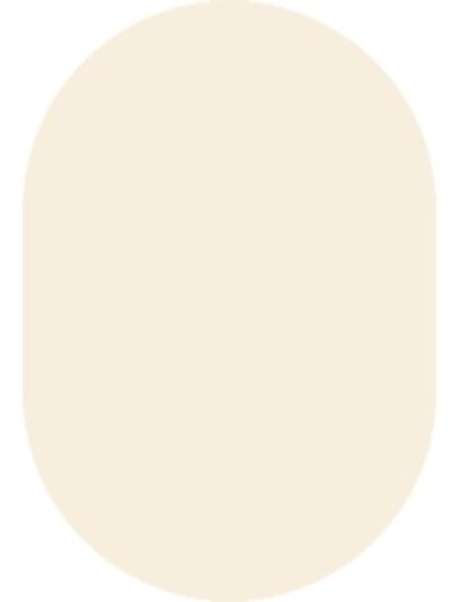 Овальный ковёр Фьюжн 42300_48222, Россия