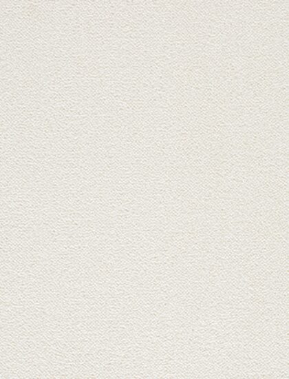 Ковролин Noblesse 504-PSH (Beaulieu)