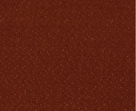 Ковролин Fortesse New 040 (Balta/ITC)