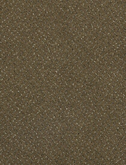 Ковролин Fortesse New 040 (Balta/ITC)