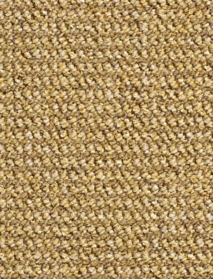 Ковролин Dynamic 71 (Condor)